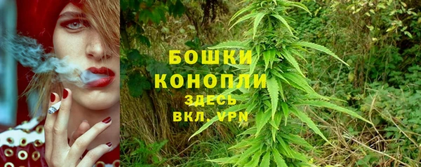 бутират Белокуриха