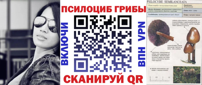 Псилоцибиновые грибы мицелий  закладки  Калининец 